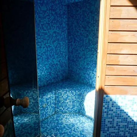 House With Pool And Saunas